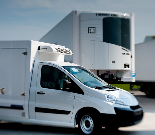 Грузы с температурным режимом